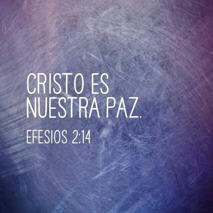 saludo-de-siegfried-sander-7